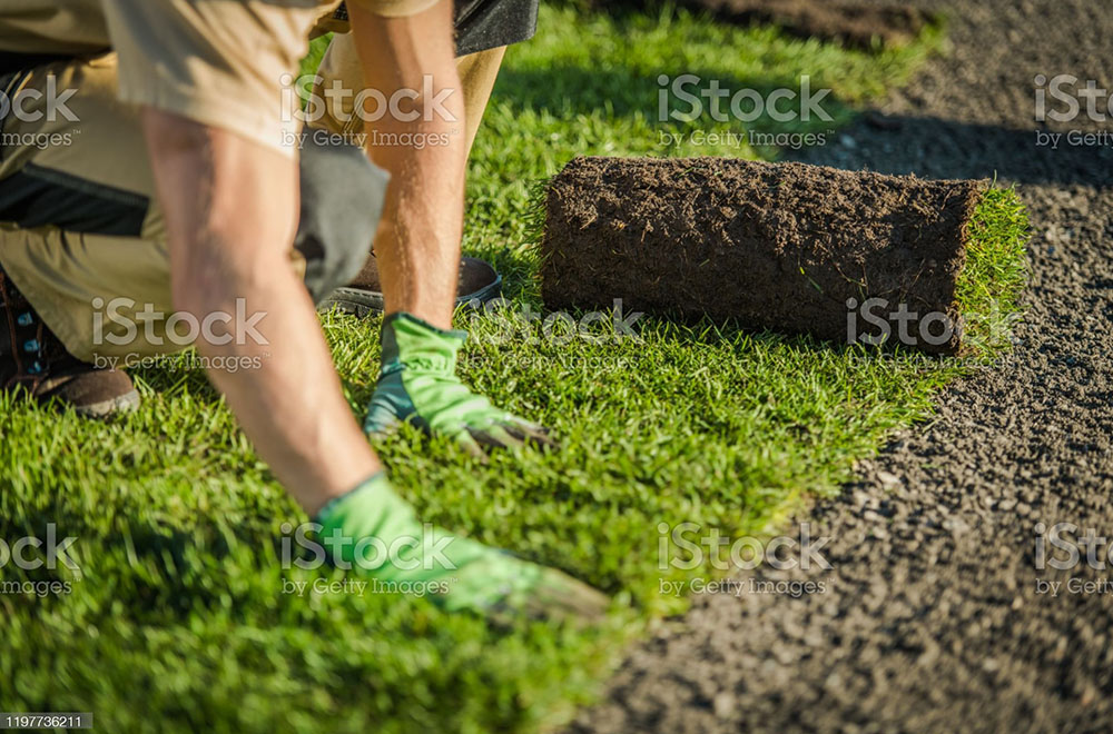 Len Duck Landscaping